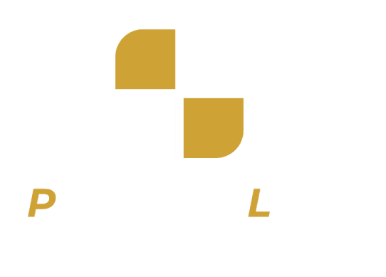Perfect Link Logo Image